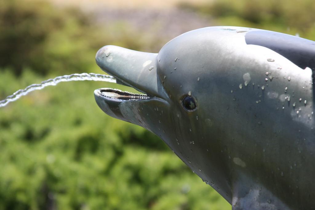 Emerald Dolphin & Mini Golf 3* Fort Bragg